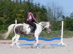 IMG_0593_web